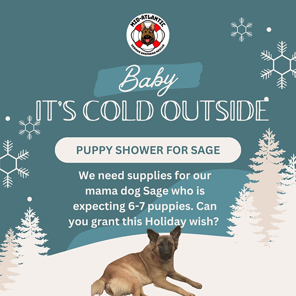 Please contibute to Sage's Puppy Shower