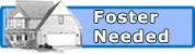 Fill out a Foster Application Fill out a Foster Application