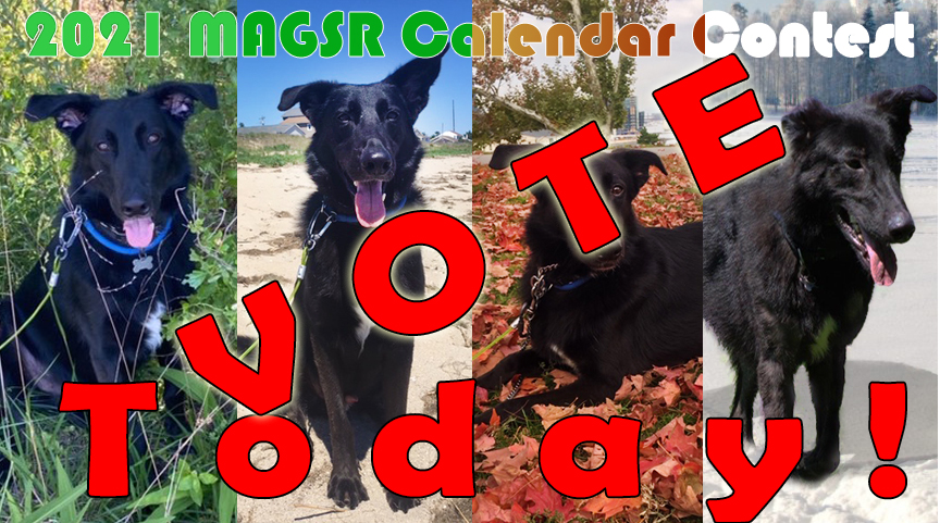 Enter your favorite pup TODAY!